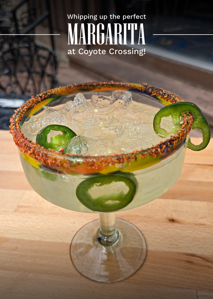 coyote croosing 5 de mayo 2025